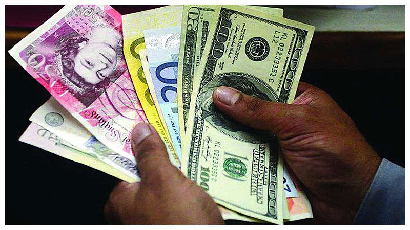India Forex Reserves: देश के विदेशी मुद्रा भंडार में आया बड़ा उछाल, 596 अरब डॉलर पर पहुंचा...RBI ने ये बताया