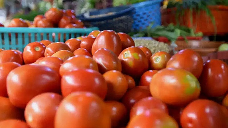 Tomato Price Hike: जून के महीने में क्यों लाल हो रहा है टमाटर? जानें- कब कम होंगे इसके भाव
