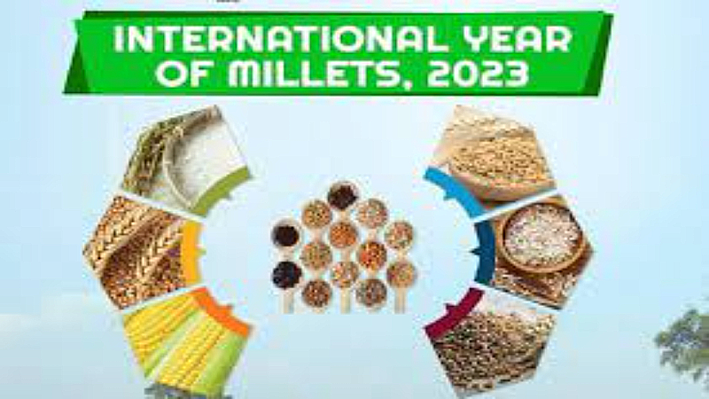 International Year of Millets: काशी से लेकर वाशिंगटन तक मिलेट्स का जलवा
