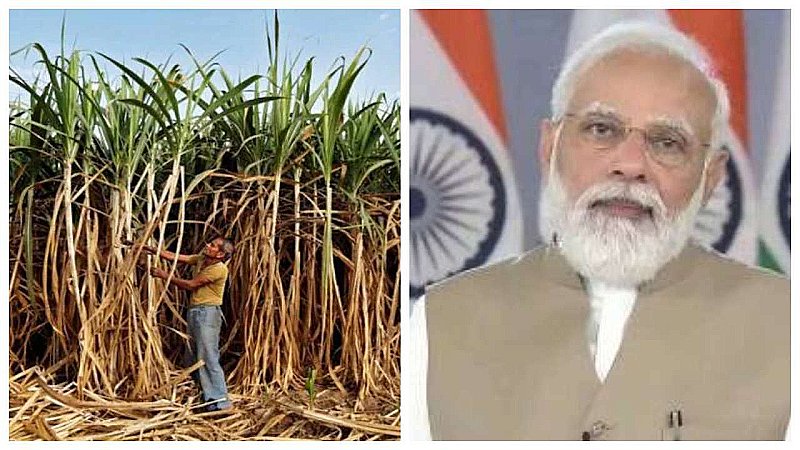 Cabinet Decisions: गन्ना किसानों को मोदी सरकार का गिफ्ट, नए सीजन के लिए बढ़ाए दाम...लाखों किसानों को फायदा