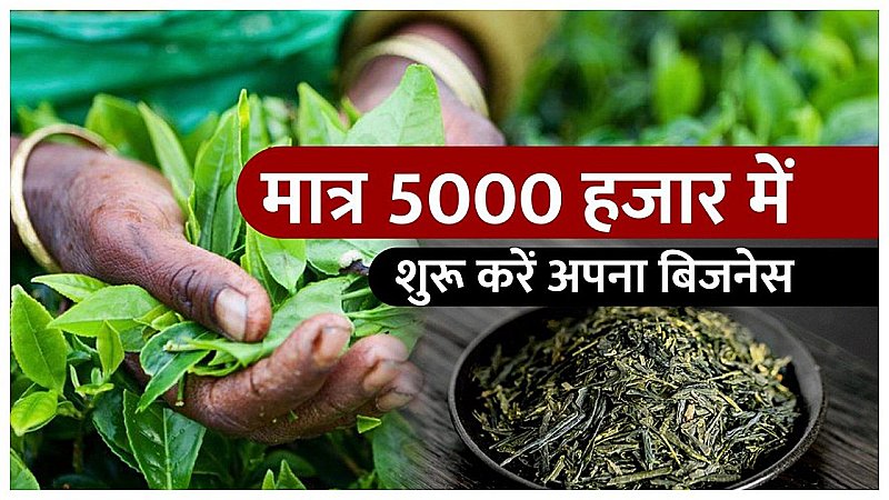 Chai Patti ka Business Kaise Kare: सिर्फ 5000 लगाकर लाखों कमाएं, ऐसे करें चाय पत्ती का कारोबार, होगी शानदार कमाई