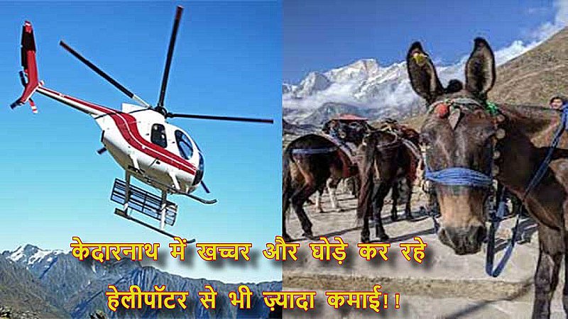 Kedarnath Dham Yatra Service: बाप रे बाप! केदारनाथ में खच्चर-घोड़े कर रहे हेलीकॉप्टर से भी ज़्यादा कमाई, एक महीने में कमाए करोड़ों