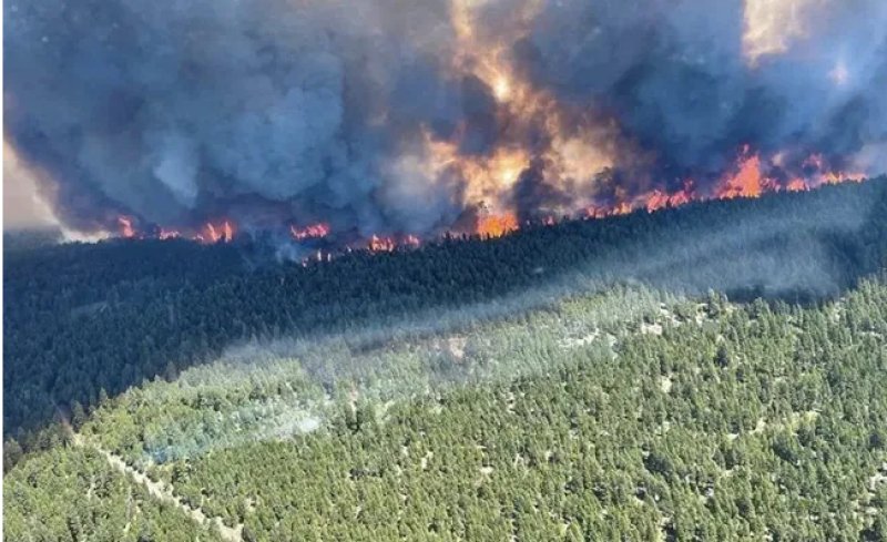 Canadian forest fire spreads further, Smoke blankets US cities