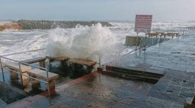 Cyclone Biparjoy: Landfall time, location, impact, cities to be hit, preparations