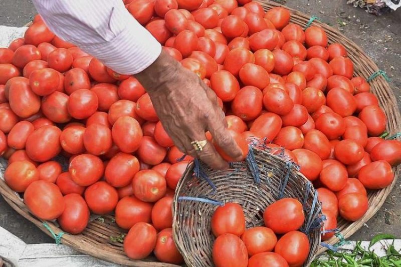 Tomato Prices Surge Across India; Heres WHY?