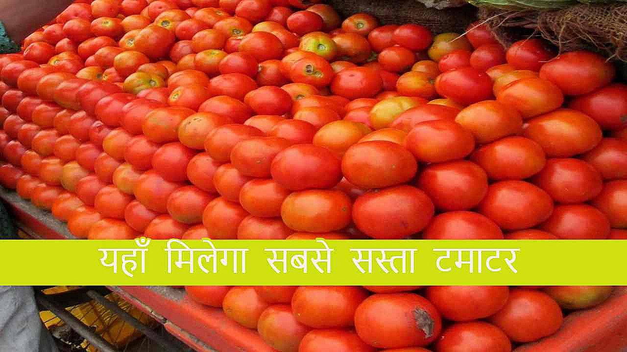 Tomato Price Today July 2023 Tamatar Ke Dam Aaj Kya Hai And Check Your Tomato Price Today July 2023 Tamatar Ke Dam Aaj Kya Hai And Check Your