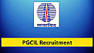 PGCIL Recruitment 2023: पावर ग्रिड कारपोरेशन ऑफ़ इंडिया में निकली बम्पर भर्तियां,जानिये पूरी आवेदन  प्रक्रियां