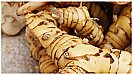 Galangal Benefits-Side Effects:  पाचन तंत्र को मज़बूत बनाता है गलांगल, जानिये इसके लाभ और साइड इफेक्ट्स