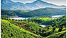 Munnar Tourism: केरल का स्वर्ग है मुन्नार, जानें कम बजट में कैसे घूमें यहाँ
