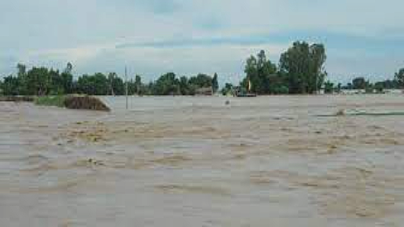 Shravasti News: नेपाल में भारी बारिश यूपी के लिए चिंता का सबब, श्रावस्ती जिले में बढ़ा बाढ़ का खतरा