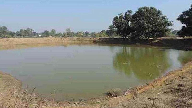 Hardoi News: तालाब में डूबने से दो मासूमों की हुई मौत, डूबते भाई को बचाने में बहन की गई जान