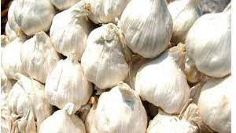 Garlic Price Hike in Lucknow: टमाटर, हरी मिर्च, अदरक के बाद अब लहसून भी थाली से बाहर, 200 के पार पहुंची कीमत