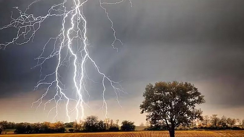 Lightning Strike in UP-Bihar: यूपी-बिहार में आकाशीय बिजली गिरने से कई लोगों की मौत, 4-4 लाख रुपये मुआवजे का ऐलान