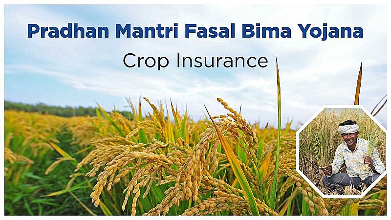 PM Fasal Bima Yojana: किसानों के लिए वरदान साबित हो रही है प्रधानमंत्री फसल बीमा योजना