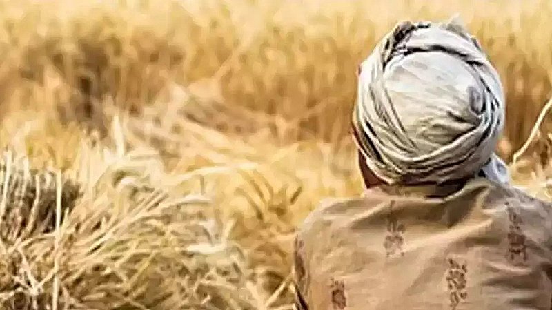 Hardoi News: अब हरदोई में करोड़ों की फर्म वाले मिले दो किसान, गज़ब है ये कहानी
