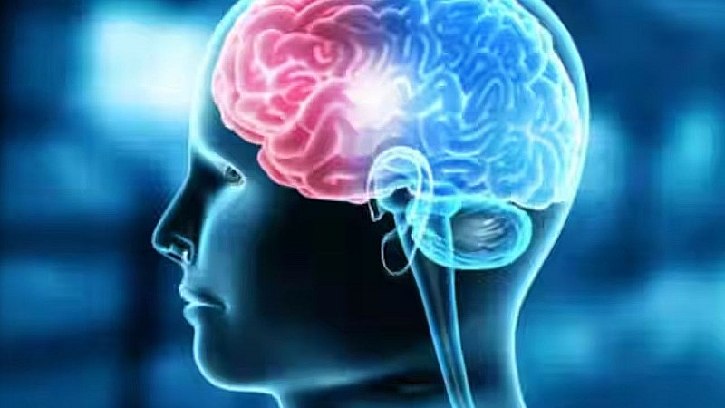 Brain Eating Amoeba: हे भगवान! खा गया पूरा दिमाग, 15 साल के लड़के की मौत, जानें क्या है ये खतरनाक बीमारी