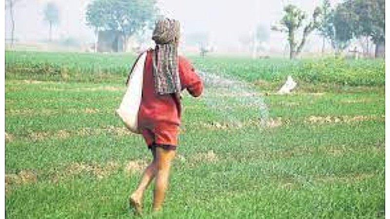 Farmers Subsidy Scheme: अब किसान भी होगा मालामाल, लंबे समय बाद आई अच्छी खबर,सरकार इन फसलों पर देगी सब्सिडी