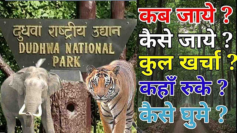 Dudhwa National Park Tour Guide: दुधवा नेशनल पार्क में लीजिये वाइल्ड लाइफ सफारी का मज़ा, जाने से पहले जान लीजिये यहाँ के नियम
