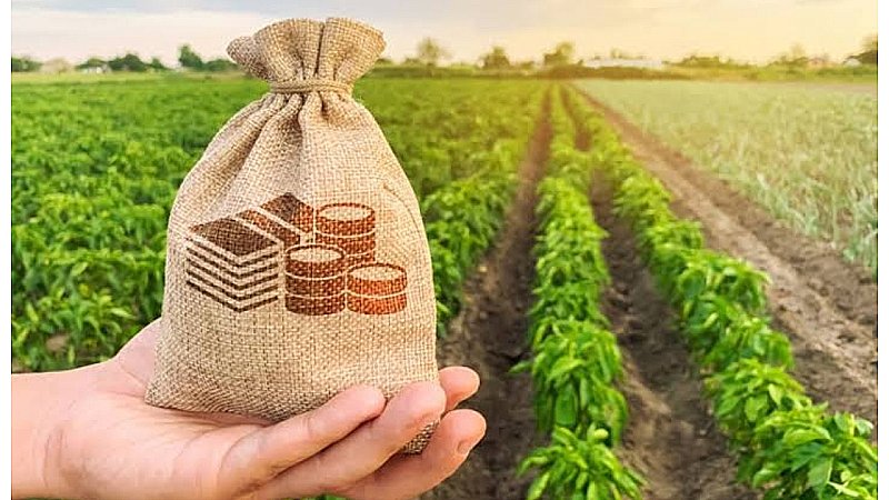 किसान लाखों कमाएगा: अब खाली व बंजर पड़े खेत देंगे पैसा, 1 लाख तक होगी गारंटीड इनकम