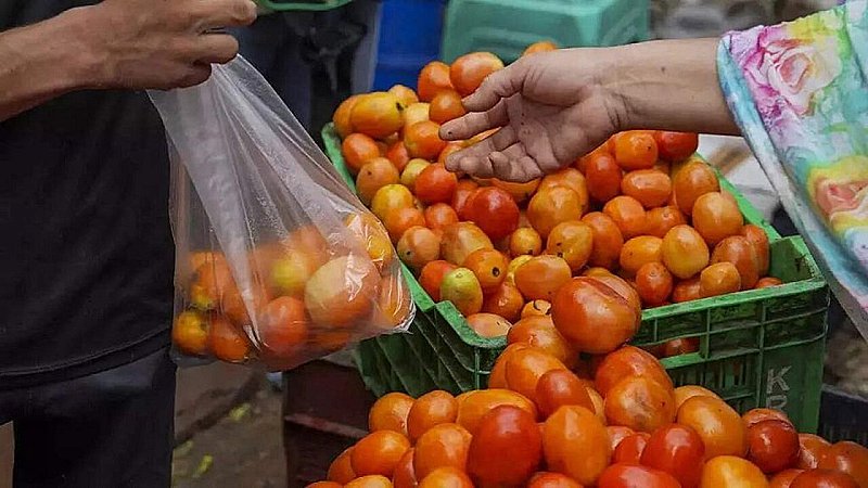 Tomato Price in Lucknow: लखनऊ में सस्ता हुआ टमाटर, जानें कितनी रह गई कीमत और कहां-कहां मिलेगा