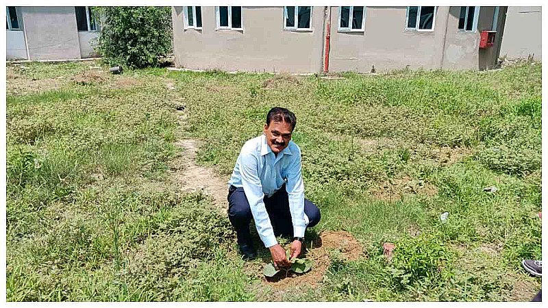 Lakhimpur Kheri News: दो हजार पौधों से हरा होगा मेडिकल कॉलेज और एमसीएच विंग, अधीक्षक डॉ.एसी श्रीवास्तव ने किया पौधरोपण