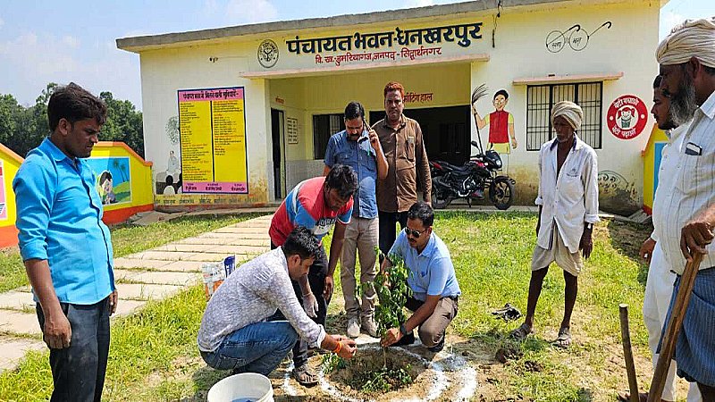 Siddharthnagar News: 115 ग्राम पंचायतों में रोपे जाएंगे 1.75 लाख पौधे, 15 अगस्त चलेगा अभियान