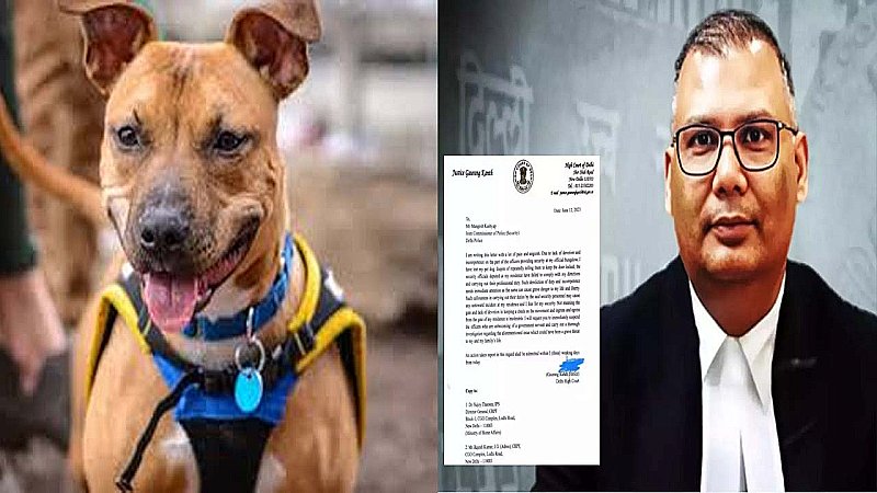 Judges Pet Dog: न्यायाधीश का पालतू कुत्ता, सुरक्षा में चूक और सुरक्षा गार्डों पर कार्रवाई की मांग