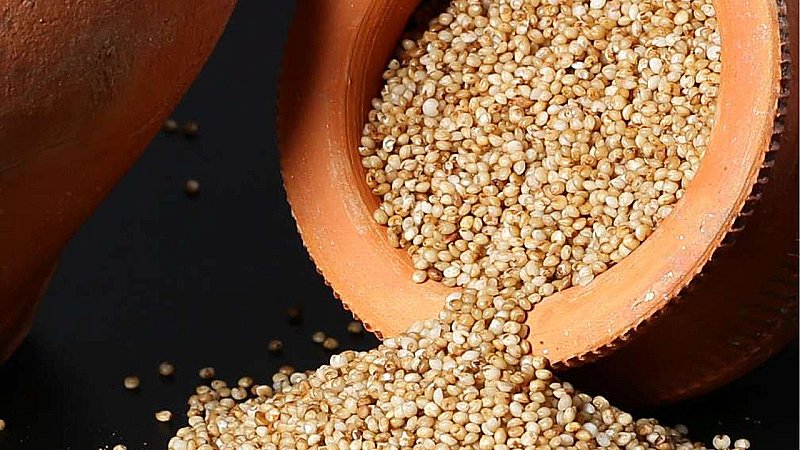 Kodo Millet Benefits: अपनी डाइट में शामिल करें कोदो, कई बीमारियों से रहेंगे दूर, जानें इसके फायदे