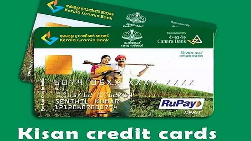 Kisan Credit Card Scheme: यहां जाने किसान क्रेडिट कार्ड का उपयोग कैसे करें, साथ ही इसके बेनिफ्ट भी