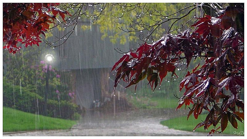 Lucknow Ka Mausam 27 July 2023: लखनऊ में आज भी रहेंगे बादल या होगी बरसात, जानें आज के मौसम का हाल
