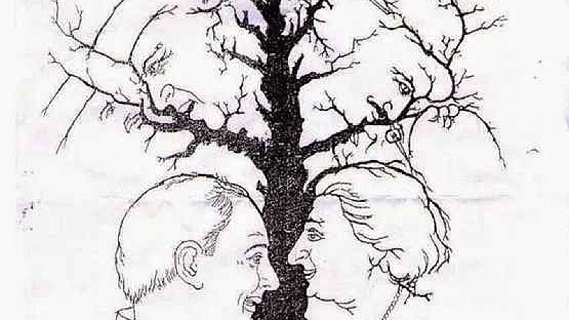 दिमाग लगाकर दिखाओ: इस पेड़ में कितने चेहरे हैं ? ये पहेली इंटरनेट पर वायरल हो गई