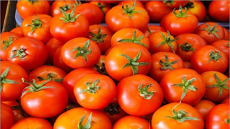 Tomato Prices: फिर बढ़ा टमाटर का दाम, 200 रुपये में बिक रहा इस राज्य में