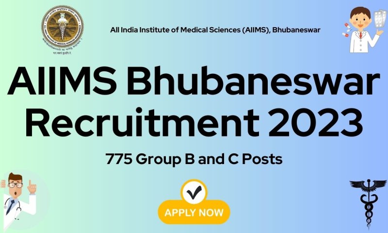 AIIMS releases 755 posts for secondary education to graduates
