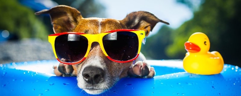 Beat the Heat: Smart Tips to Stay Cool Without Air-Conditioning in the United States