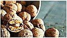 Walnuts Health Benefits: दिल और दिमाग दोनों को रखना है दुरुस्त तो खाइये अखरोट, होगा जबरदस्त फायदा