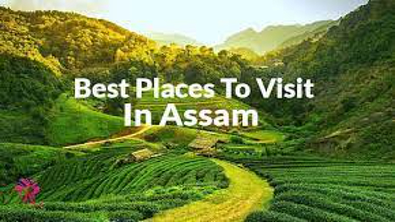 Assam Famous Places: असम में इन जगहों की सैर, मम्मी कसम मजा आ जाएगा