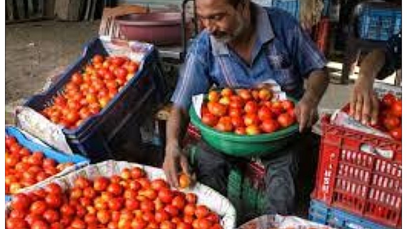 UP Vegetable Price Today: लखनऊ के इन स्थानों में आज भी बिकेगा टमाटर 70 रुपये किलो, जानें अन्य सब्जियों के भाव