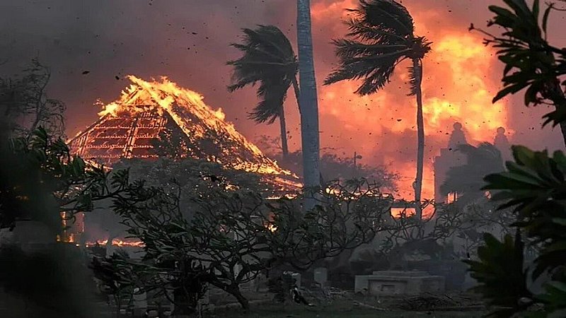 US Hawaii Wildfire: तबाही और 67 मौतों की दर्दनाक तस्वीरें, जंगल में लगी आग ने सुपरपॉवर अमेरिका की उड़ाई नींद