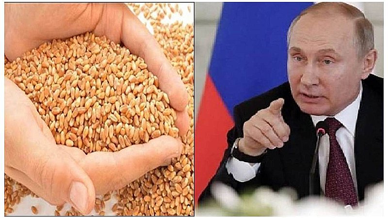 Wheat Import: महंगाई की मार: रूस से गेहूं आयात संभव, वर्षों बाद ऐसे हालात