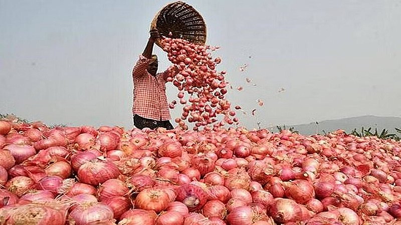 Onion Price in India: त्योहारी सीजन के करीब आते ही चढ़ने लगे प्याज के भाव, सरकार भी हुई एक्टिव, उठाया बड़ा कदम