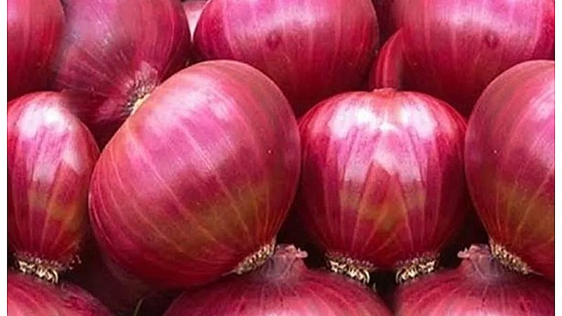 Onion Price 25 Rs Per KG: आम आदमी को बड़ी राहत, प्याज 25 रुपए प्रति किलो, सोमवार से यहां मिलेगी