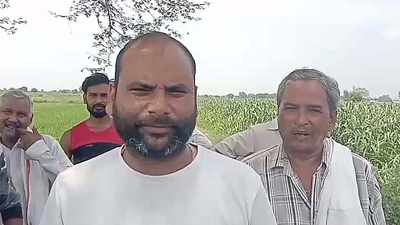 Aligarh News: गौशाला से आठ गौवंश निकालकर काटे, हिंदूवादी संगठनों में रोष, जानिए पूरा मामला