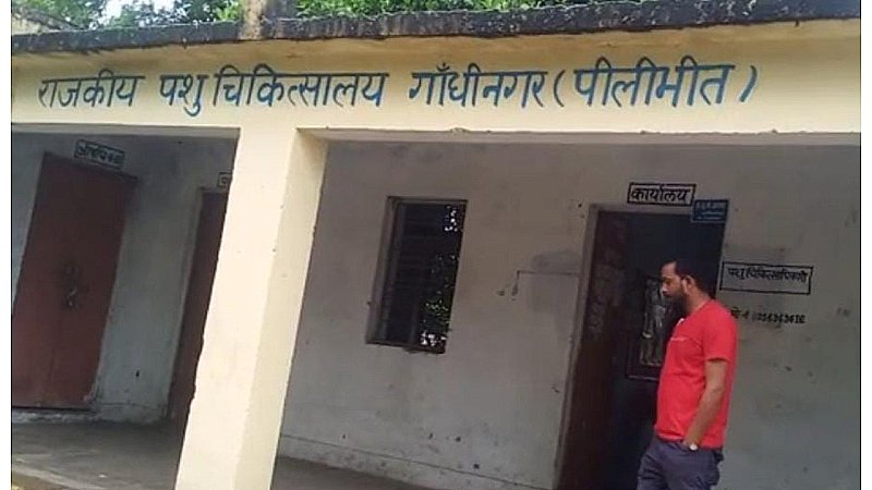 Pilibhit News: राजकीय पशु चिकित्सालय में डॉक्टर ने की पशुपालक से अभद्रता, जानिए पूरा मामला