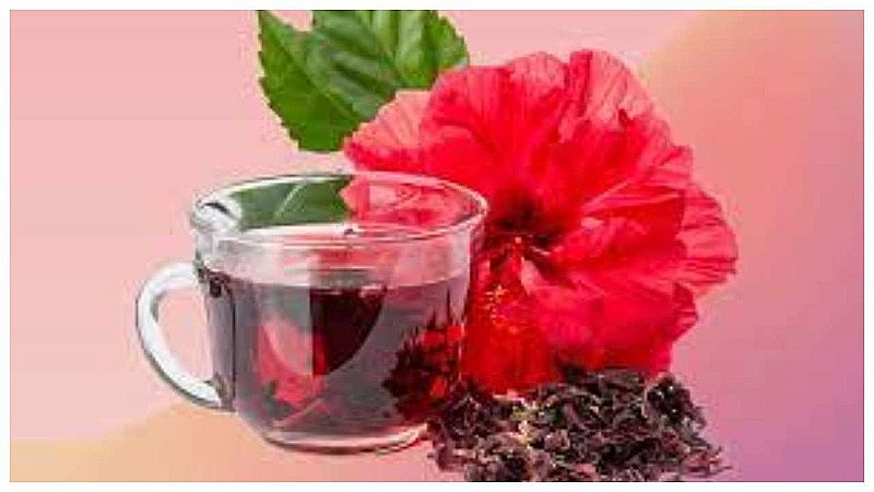Hibiscus Tea Side Effects: गुड़हल की चाय पीने के नुकसान जान लें, हमेशा आयेगा आपके काम, रहेंगे स्वस्थ