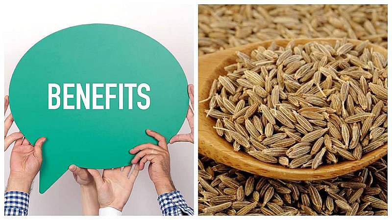 Cumin Seed Benefits: जीरा का रोजाना सेवन भयंकर डायबिटीज को भी करता है कंट्रोल, अन्य बिमारियों में भी है लाभदायक