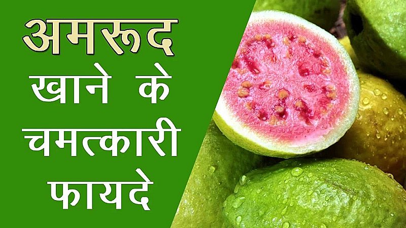 Guava Fruit Benefits: जानिए अमरूद खाने के फायदे, कैंसर से लेकर ह्रदय रोगियों के लिए ये है चमत्कारी फल