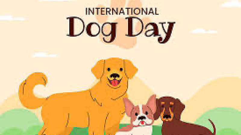 International Dog Day 2023: कुत्ता खुद से ज्यादा इंसानो की केयर करता है, जानिए अंतर्राष्ट्रीय डॉग दिवस का इतिहास