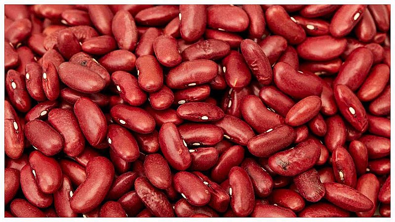 Kidney Beans Benefits: राजमा है प्रोटीन का बेहतर श्रोत, वजन कम करने में होता है सहायक