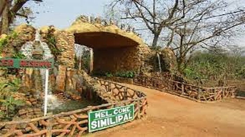 Simlipal National Park: सेमल और लाल कपास के पेड़ों का आकर्षण, यहां की खूबसूरती आपका मन मोह लेगी
