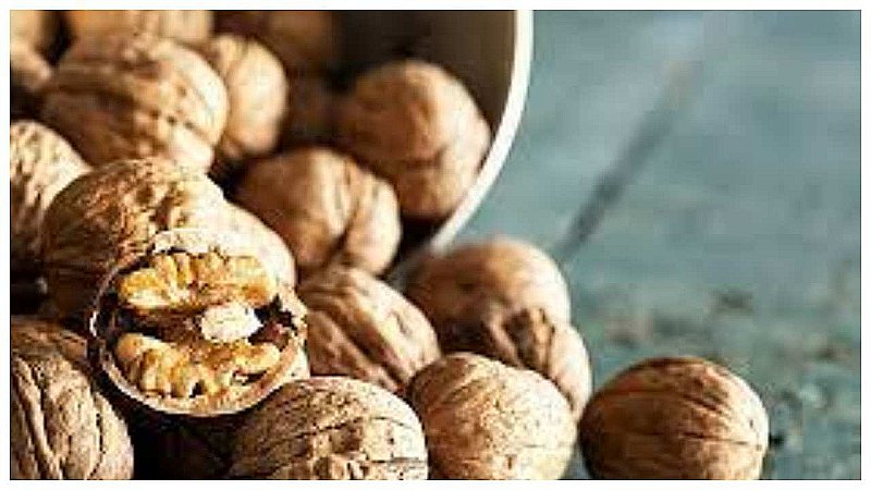 Walnuts Health Benefits: दिल और दिमाग दोनों को रखना है दुरुस्त तो खाइये अखरोट, होगा जबरदस्त फायदा